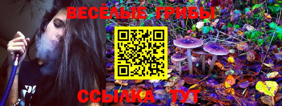 Анапа  Псилоцибиновые грибы Cubensis  Вход с VPN 